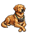Pixel